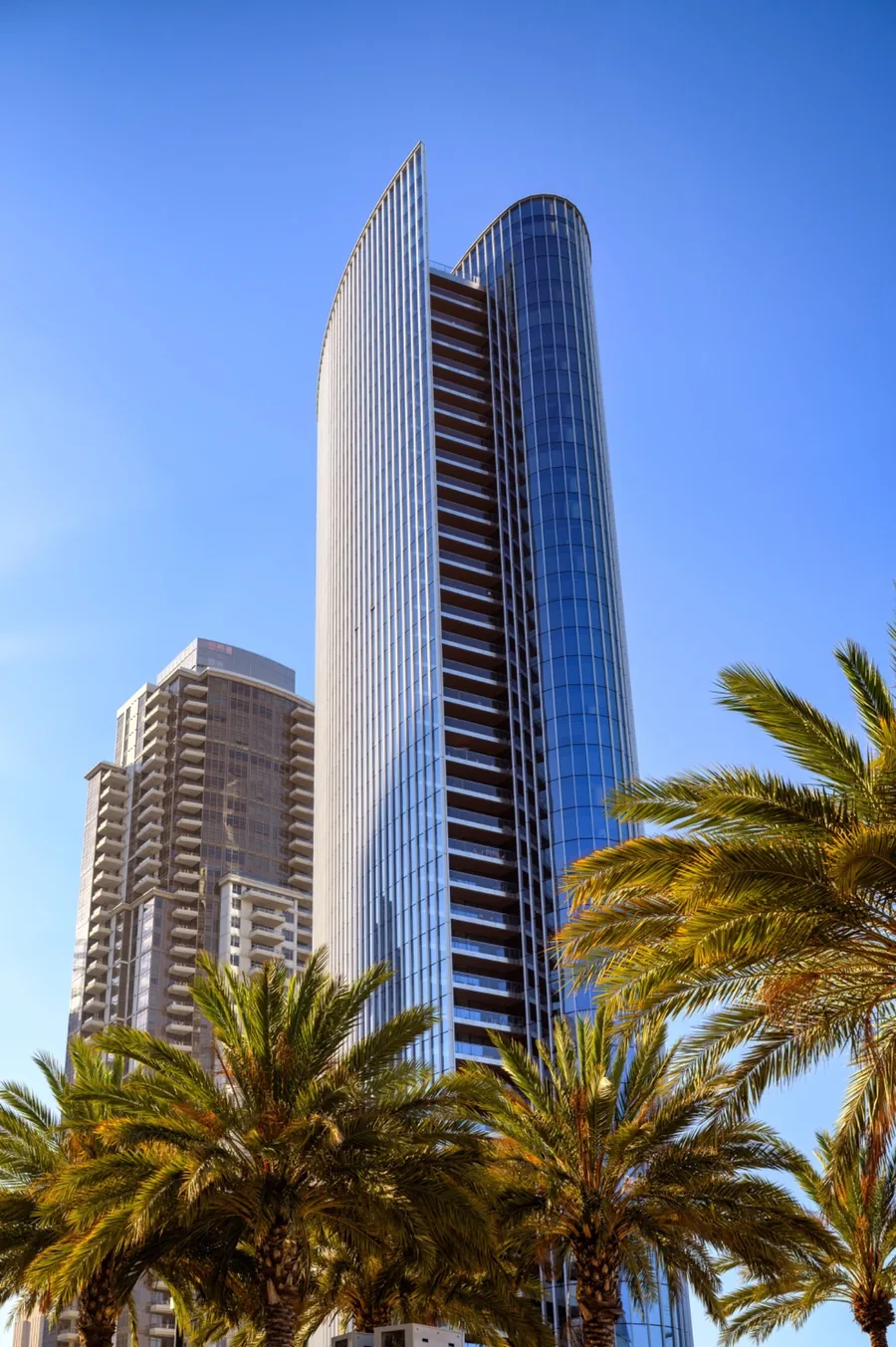 Symphony Towers rising above palm trees in downtown San Diego